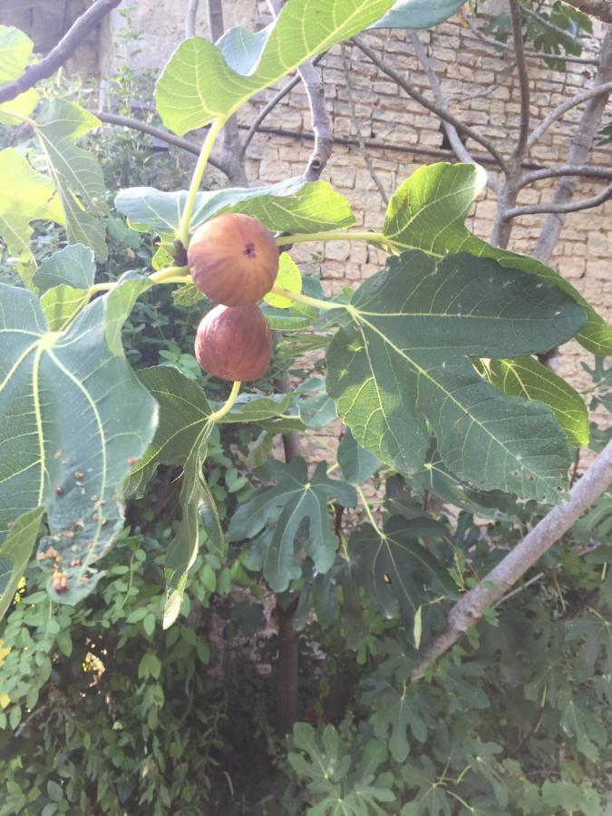 Appartement Fig Tree Barn à Gibourne Extérieur photo