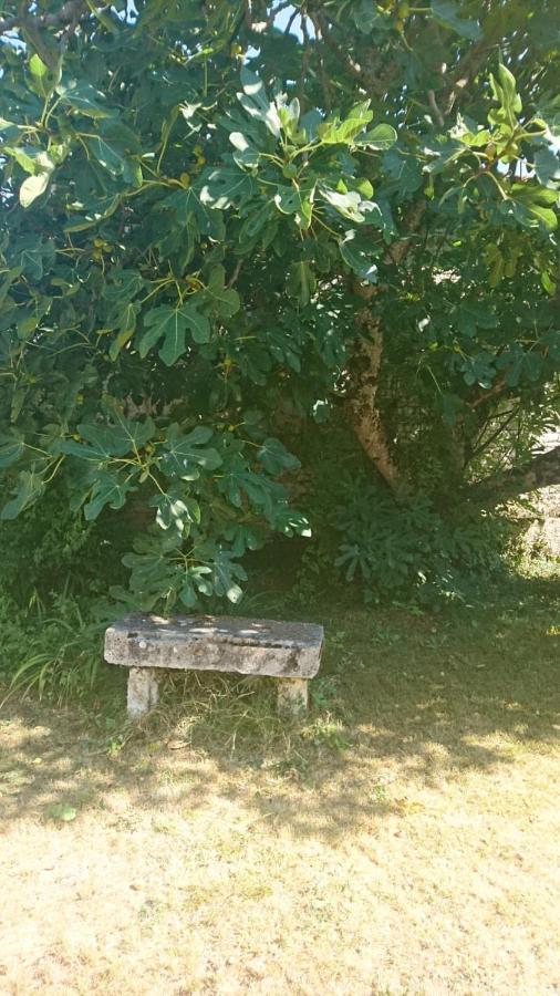 Appartement Fig Tree Barn à Gibourne Extérieur photo